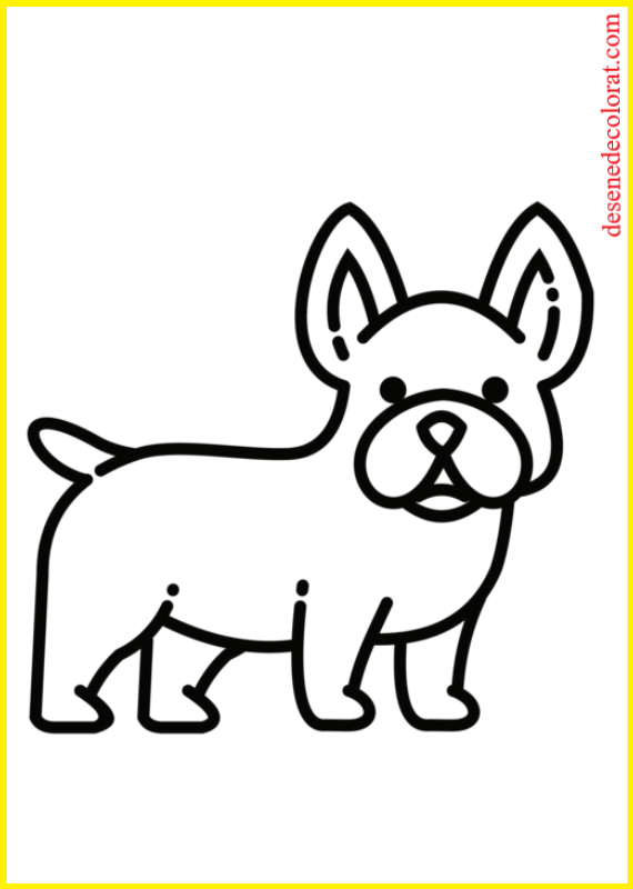 DOG COLORING